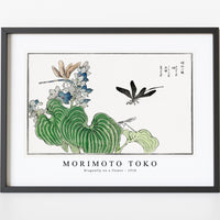 Morimoto Toko-Dragonfly on a flower illustration from Churui Gafu (1910)