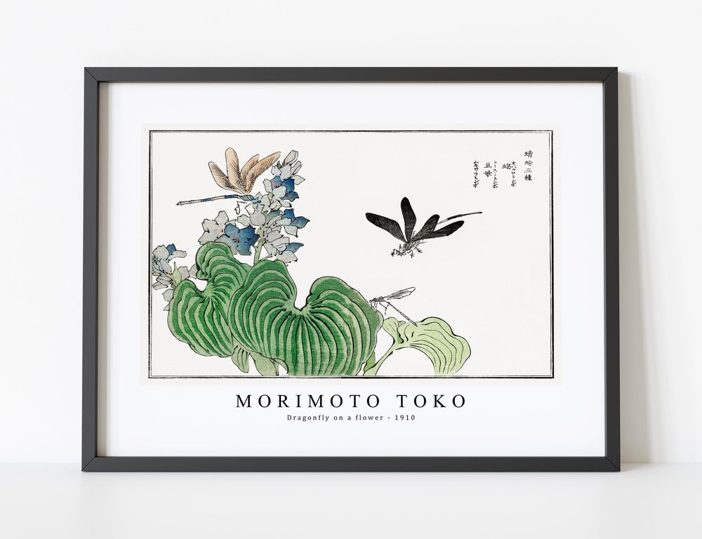 Morimoto Toko-Dragonfly on a flower illustration from Churui Gafu (1910)