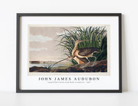 
              John James Audubon - Long-billed Curlew from Birds of America (1827)
            