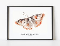 
              Johan Teyler - A butterfly
            