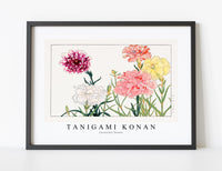 
              Tanigami Konan - Carnation flower
            