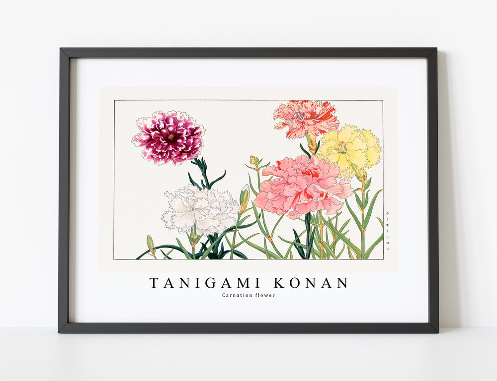 Tanigami Konan - Carnation flower