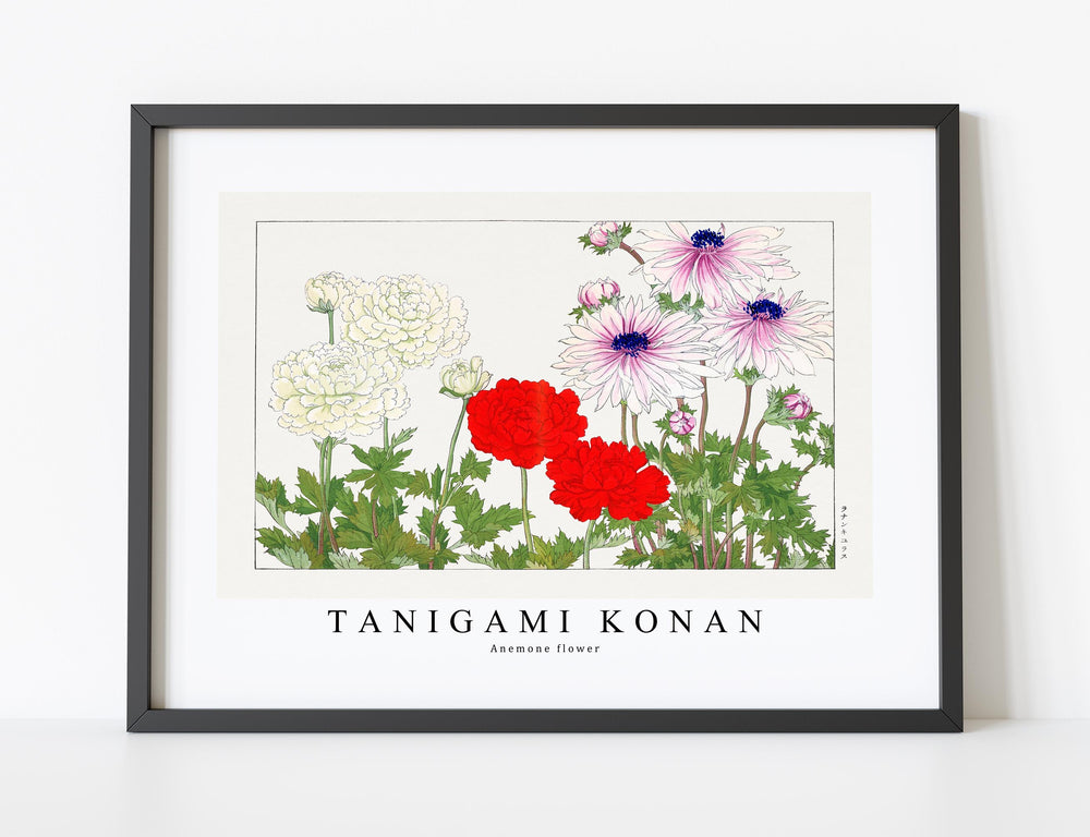 Tanigami Konan - Anemone flower