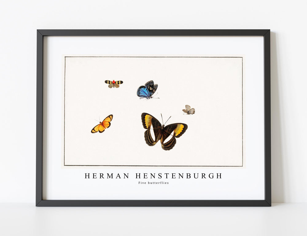 Herman Henstenburgh - Five butterflies