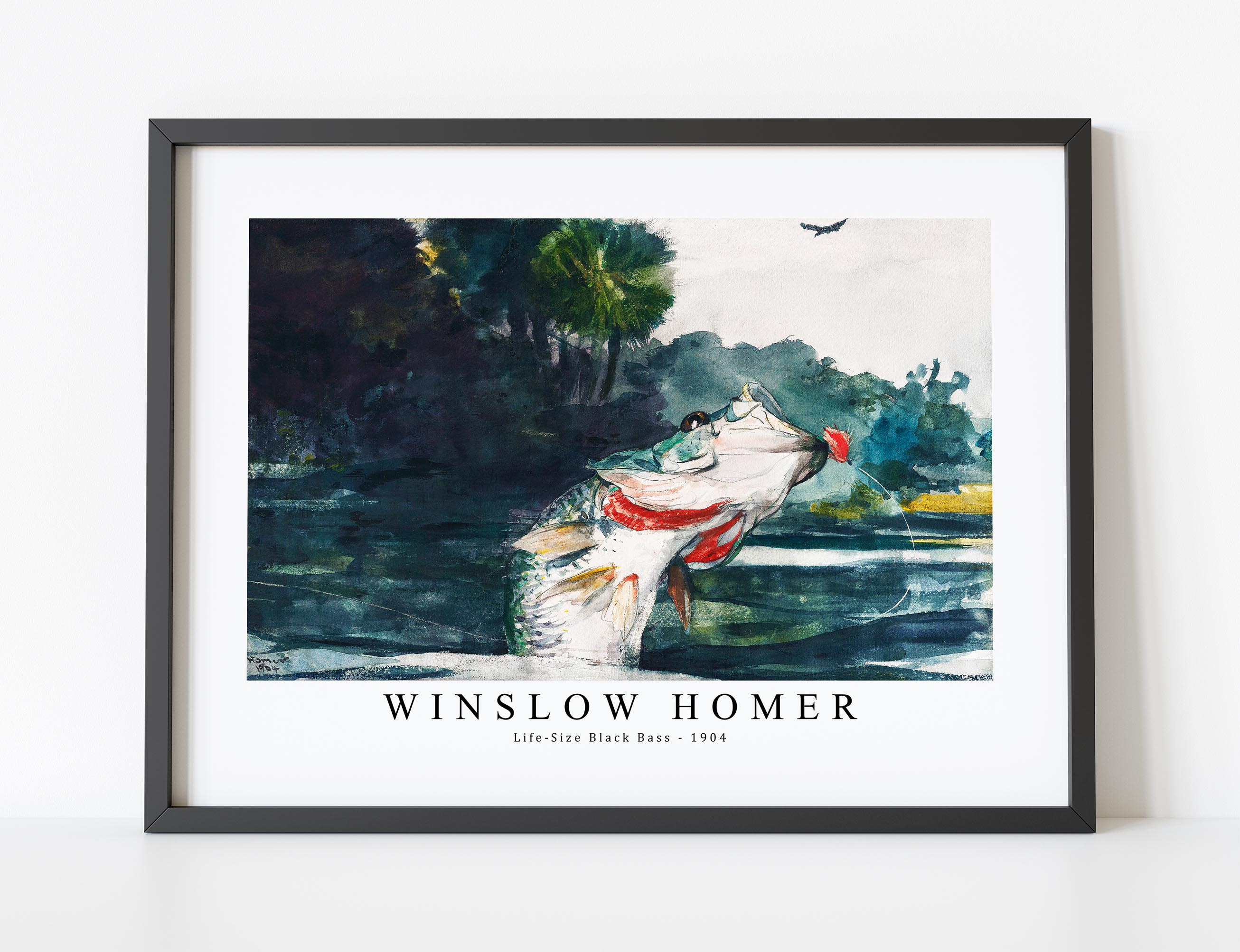 Fine Art Print Life-Size Black Bass (Vintage Fishing) - Winslow Homer