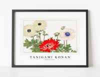 
              Tanigami Konan - Anemone flower
            