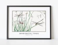 
              Morimoto Toko - Dragonflies illustration from Churui Gafu (1910)
            