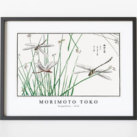 Morimoto Toko - Dragonflies illustration from Churui Gafu (1910)