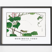 Morimoto Toko - Locust on a leaf illustration from Churui Gafu (1910)