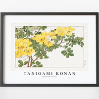 Tanigami Konan - Allamanda flower