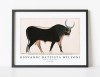 
              Giovanni Battista Belzoni - Plate 15  The Apis Bull 1778-1823
            