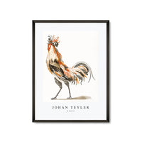 Johan Teyler - A Cock (2)