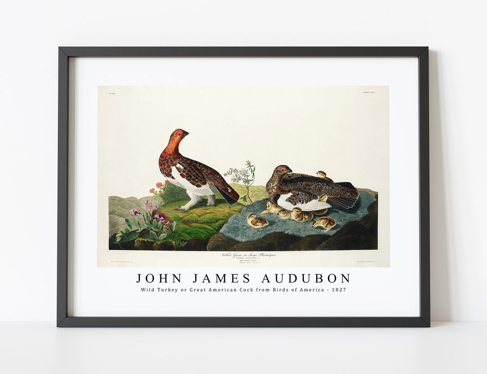 John James Audubon - Wild Turkey or Great American Cock from Birds of America (1827)