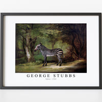 George Stubbs - Zebra 1763