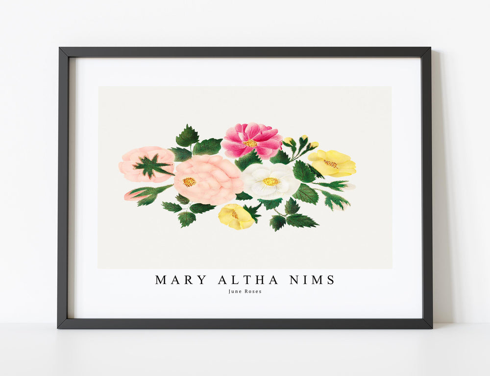 Mary Altha Nims - June Roses