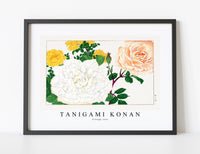 
              Tanigami Konan - Vintage rose
            