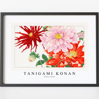 Tanigami Konan - Dahlia flower