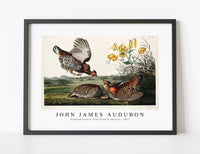 
              John James Audubon - Pinnated Grouse from Birds of America (1827)
            