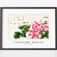 Tanigami Konan - Geranium flower