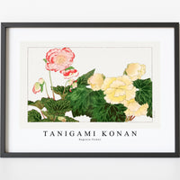 Tanigami Konan - Begonia flower