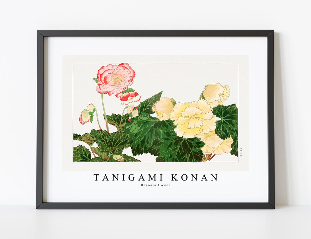 Tanigami Konan - Begonia flower