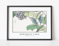 
              Morimoto Toko - Moth and plant illustration from Churui Gafu (1910)
            