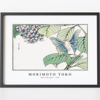 Morimoto Toko - Moth and plant illustration from Churui Gafu (1910)