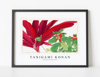 
              Tanigami Konan - Dracaena & poinsettia
            