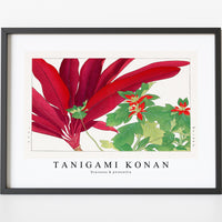 Tanigami Konan - Dracaena & poinsettia