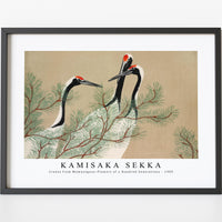 Kamisaka Sekka - Cranes from Momoyogusa–Flowers of a Hundred Generations (1909)