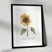 Johan Teyler - A sunflower