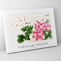 Tanigami Konan - Geranium flower