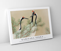 
              Kamisaka Sekka - Cranes from Momoyogusa–Flowers of a Hundred Generations (1909)
            