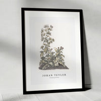 Johan Teyler - Blooming thistles