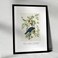 John James Audubon - American Crow from Birds of America (1827)