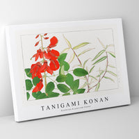 Tanigami Konan - Erythrina & panicum flower