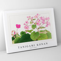 Tanigami Konan - Begonia flower