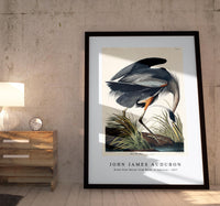 
              John James Audubon - Great blue Heron from Birds of America (1827)
            