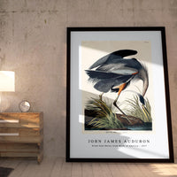 John James Audubon - Great blue Heron from Birds of America (1827)