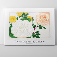 Tanigami Konan - Vintage rose