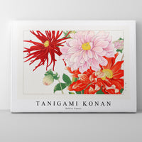 Tanigami Konan - Dahlia flower