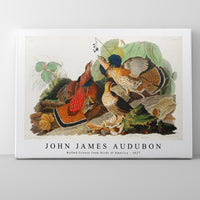 John James Audubon - Ruffed Grouse from Birds of America (1827)