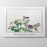 Morimoto Toko - Butterfly with flower illustration from Churui Gafu (1910)