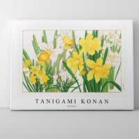 Tanigami Konan - Daffodil