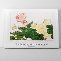 Tanigami Konan - Begonia flower