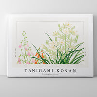 Tanigami Konan - Ornithogalum flower