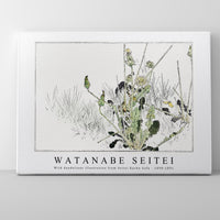 Watanabe Seitei - Wild dandelions illustration from Seitei Kacho Gafu 1890-1891