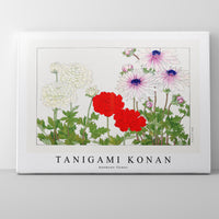 Tanigami Konan - Anemone flower