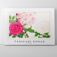 Tanigami Konan - Rose flower