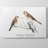 Johan Teyler - Goldfinches (1688-1698)